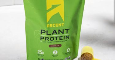 Plant based chocolate protein powder