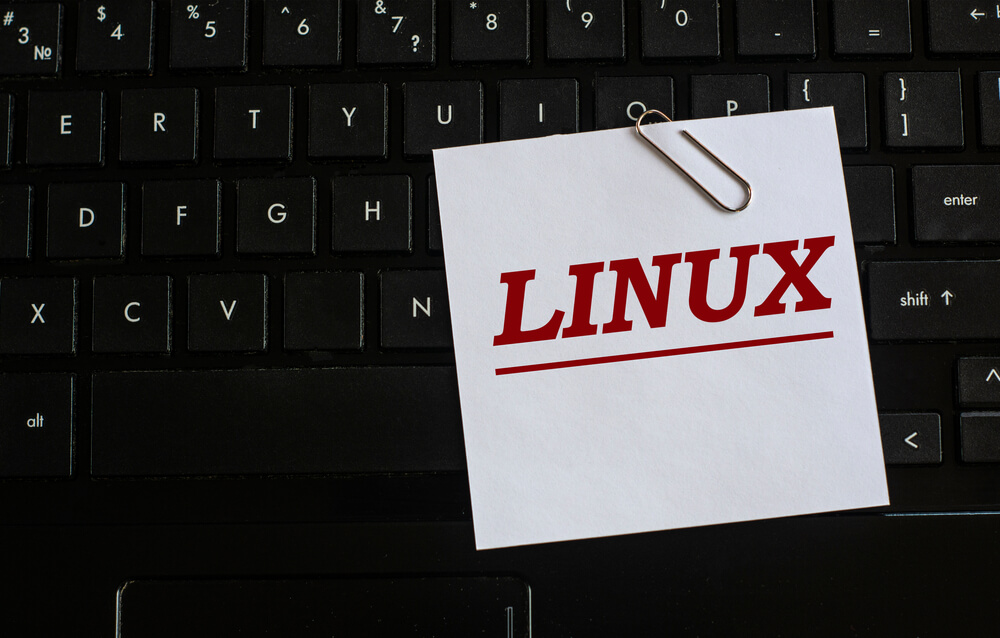 How is Linux VPS a Better Option for Website SEO?