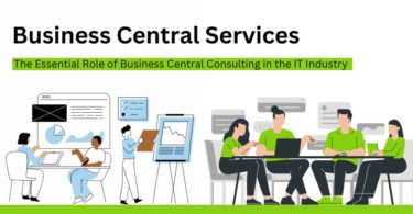Business Central consultant