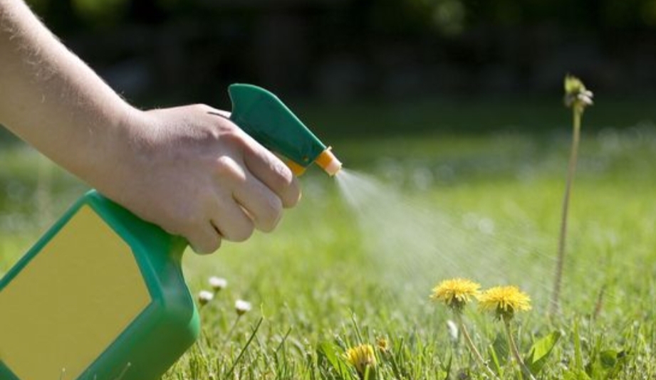 Weed Killer For Lawns