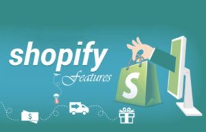 Features for Your Shopify Website