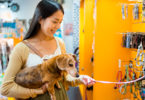 Launching Your Pet Store