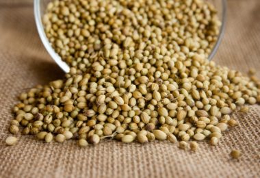 What Is Coriander And How To Use It Effectively