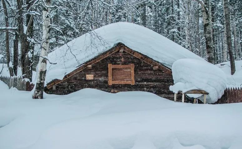 cozy holiday chalet retreat