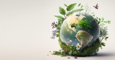 4 Simple Ideas for Protecting the Environment