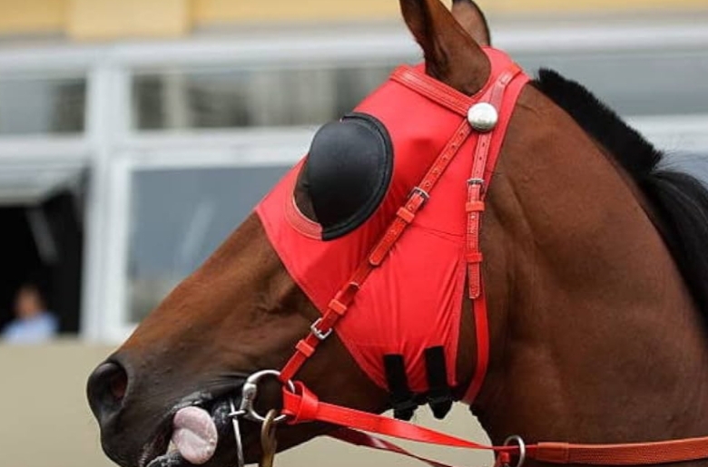 Ride In Fly Mask For Your Horse