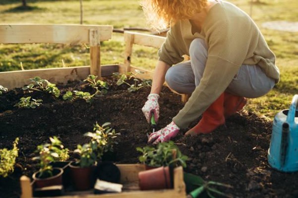 Thoughtful Gifts for Garden Enthusiasts