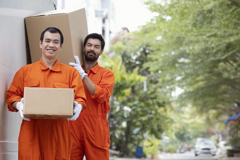 Removalists