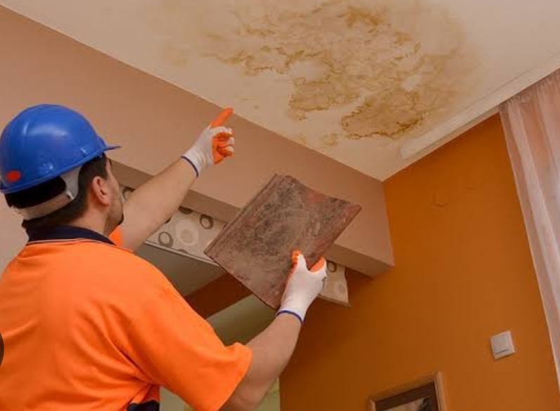 How a Water Damage Restoration Company Assesses and Mitigates Damage