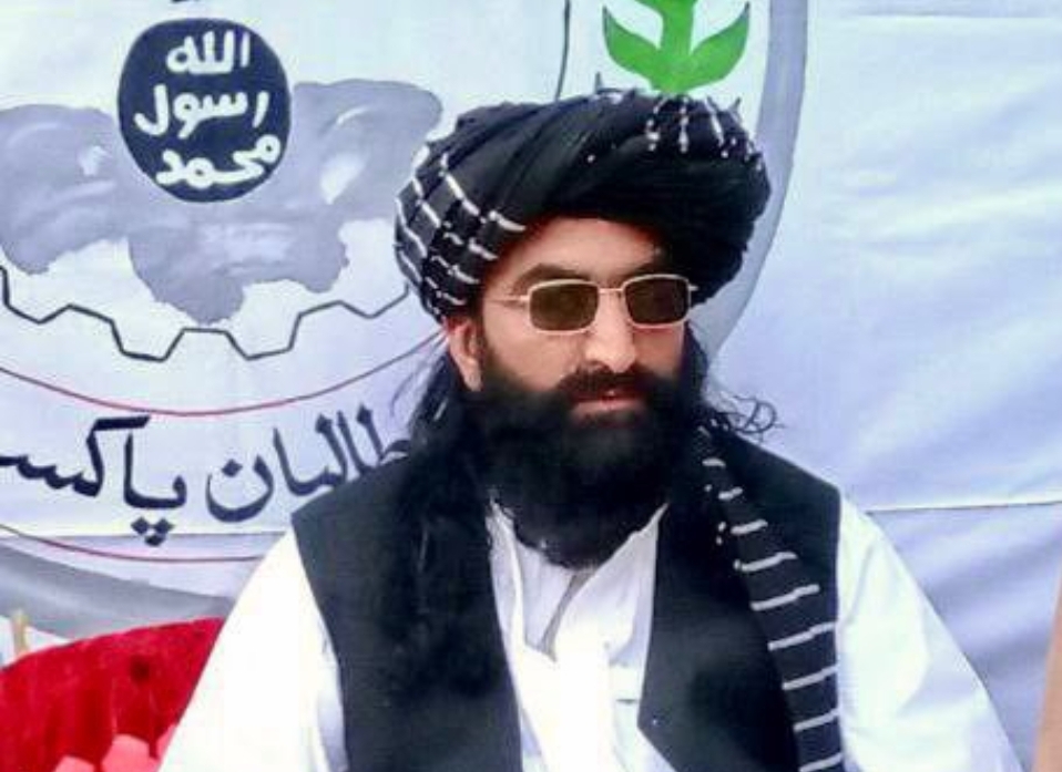 TTP Chief Noor Wali Mehsud Reportedly Killed in Kabul Pakistan's Airstrike