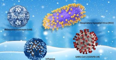 winter respiratory viruses