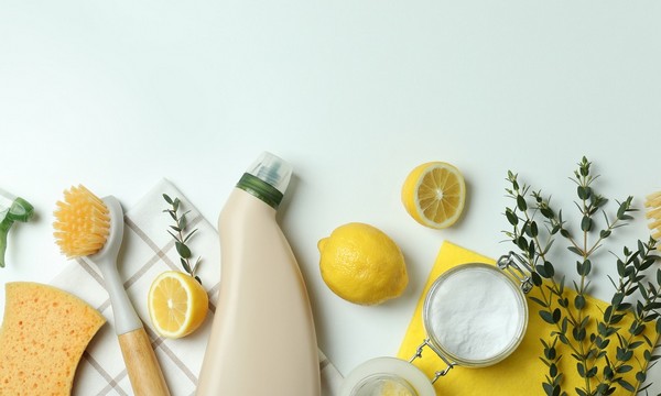 How to identify greenwashing in product labels by checking eco claims and certifications