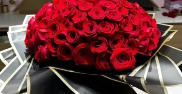 Red roses symbolizing love on Valentine’s Day