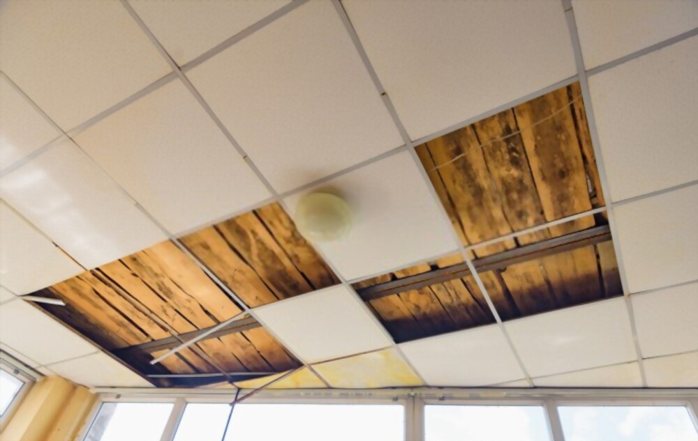 Acoustic Ceiling Sunshine