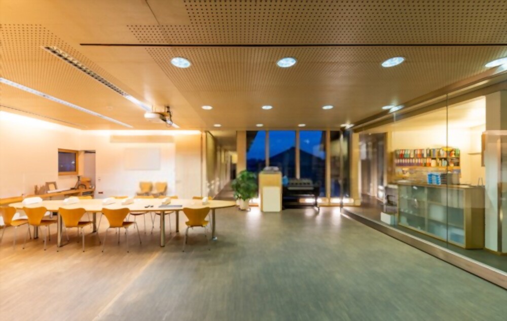 Acoustic Ceiling Sunshine