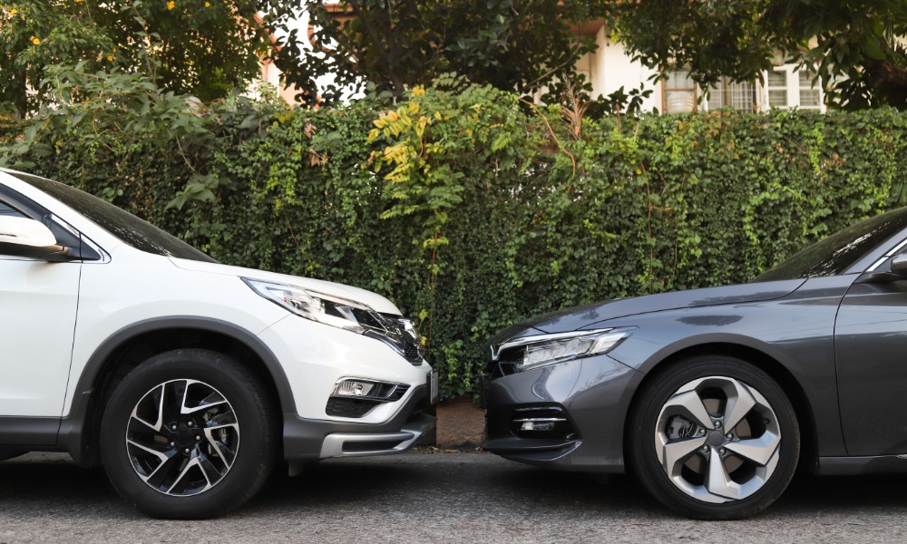 A low-angle view of a white car and a gray car parked nose to nose on pavement in front of bushes and trees.