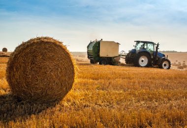 A close-up of a round hay bale in a hay field with a blue tractor towing a round hay baler in the background.