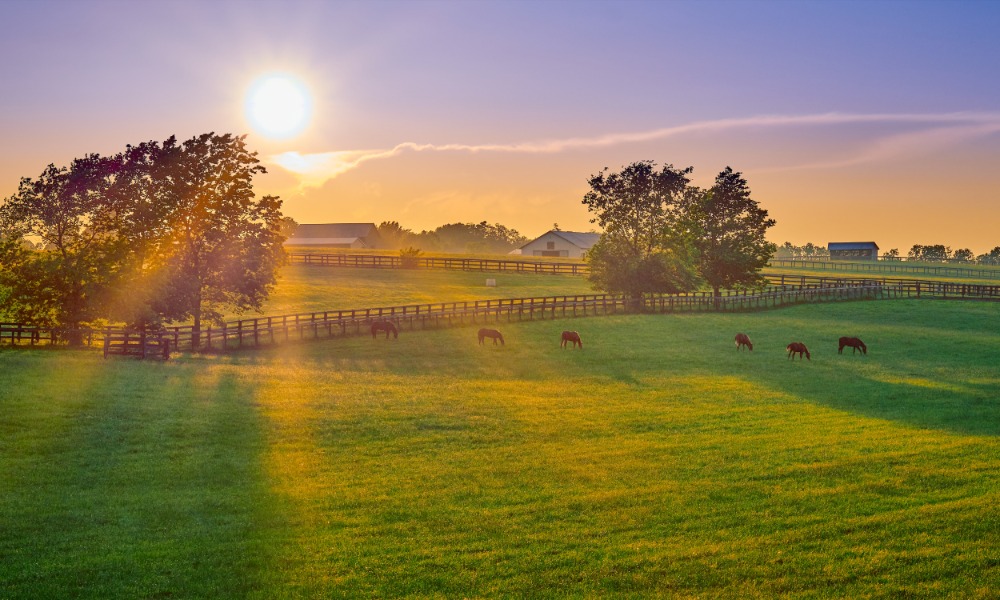 A wide landscape view of a large horse ranch at sunset with horses grazing in one of the fields surrounded by a fence.