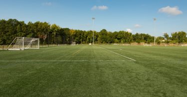 Empty outdoor soccer field with marked turf, two goals, tall floodlights, and a line of trees beneath a blue sky.