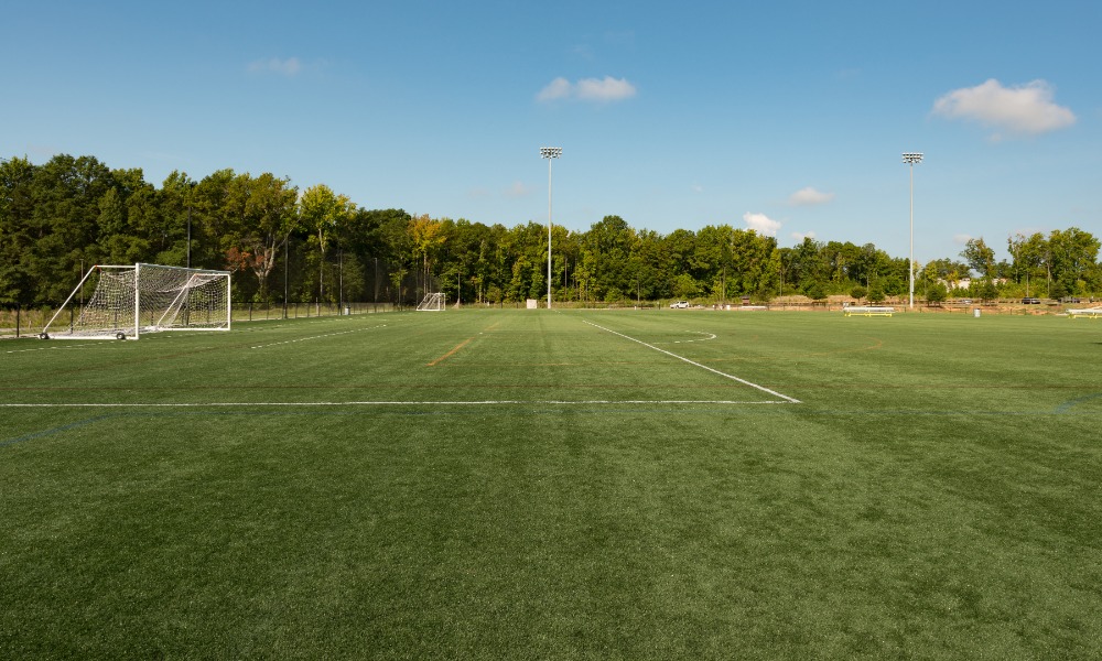 Empty outdoor soccer field with marked turf, two goals, tall floodlights, and a line of trees beneath a blue sky.