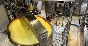 Stainless-steel food-processing equipment surrounds a large, open vat filled with a yellow cheese product.