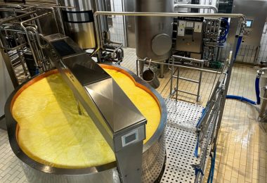 Stainless-steel food-processing equipment surrounds a large, open vat filled with a yellow cheese product.