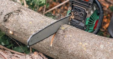 A green and black chainsaw cutting through a fallen tree trunk in a wooded area with small wood chips flying.