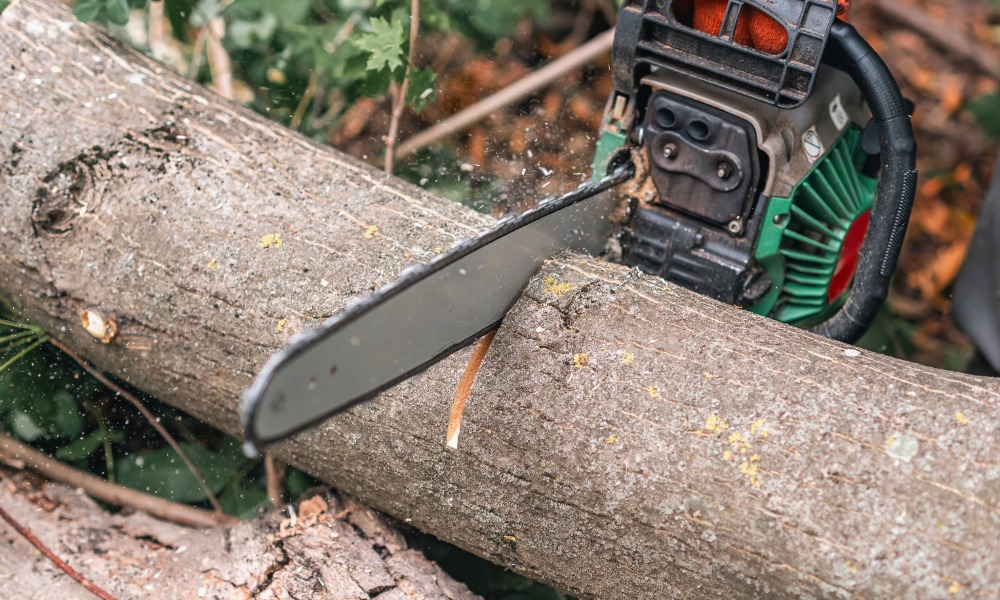 A green and black chainsaw cutting through a fallen tree trunk in a wooded area with small wood chips flying.