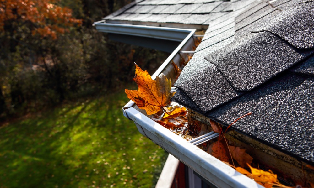 Close-up of a residential roof with asphalt shingles and rain gutters clogged with fallen autumn leaves.