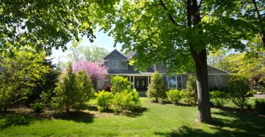 A residential property tucked behind young and mature trees in the yard. The house is two-story with gray siding.