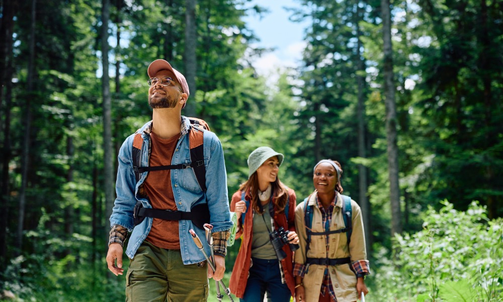 Three people hiking in the woods on a bright, sunny day. Two hikers wear hats while walking past tall trees.